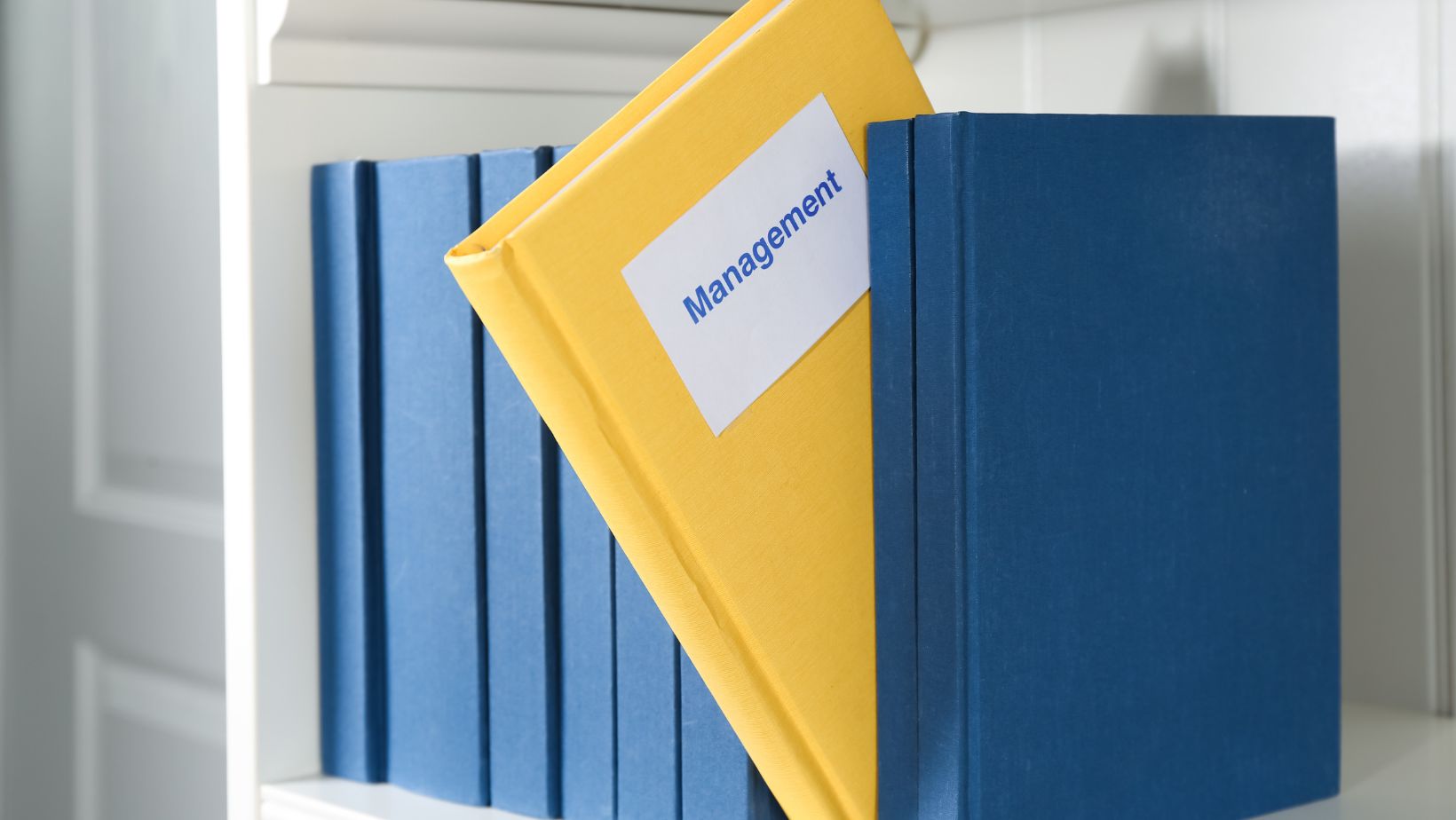 business management books